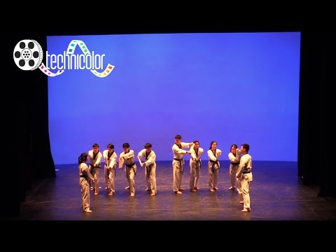 GenAPA 2019: Technicolor - Taekwondo [Performance]
