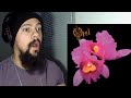 Classical Pianist React to Opeth Silhouette Piano Cover