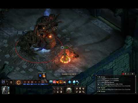 Pillars of Eternity II  Deadfire Solo Priest vs Giant Cave Grub PoTD