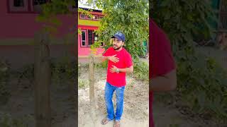 Download lagu Lili Bijuli 💕💕 || Bidyut Bikash || Priyanka Bharali. #shorts #reels mp3 Download lagu Lili Bijuli 💕💕 || Bidyut Bikash || Priyanka Bharali. #shorts #reels mp3