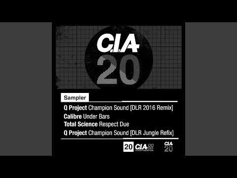 Champion Sound (DLR 2016 Remix)