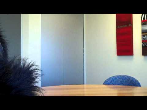 Janaya and the gorilla