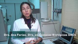 Lab. Nutrición Acuicola UACh