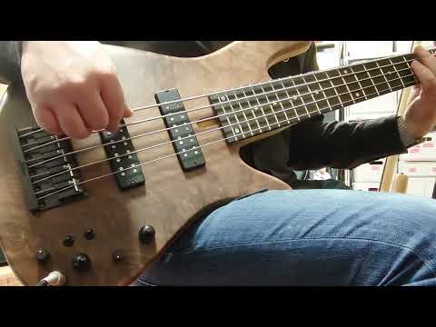 Fodera Emperor 5 Standard Special Flame Walnut DEMO