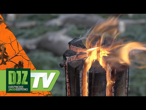 Eifeld Driven Hunt (small but nice) – PareyGo Classics