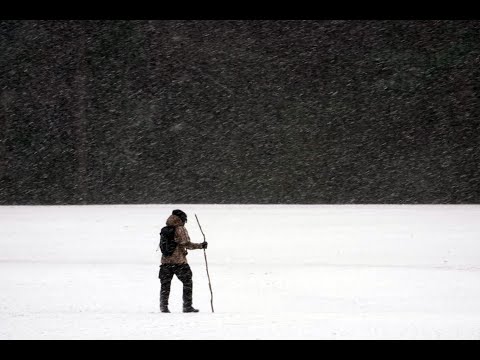 Winter Storm In Memphis