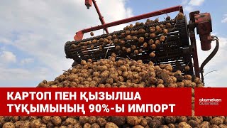 Картоп пен қызылша тұқымының 90%-ы импорт 