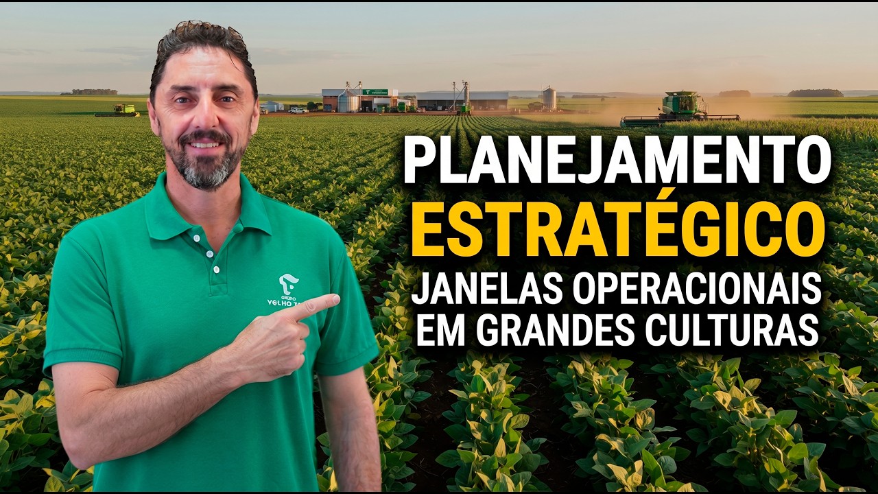 Planejamento operacional: A solução para reduzir custos e ganhar eficiência