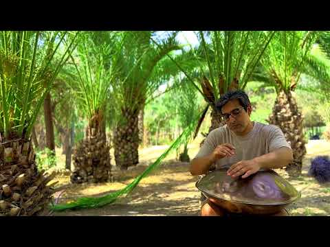 Jungle of Palms | Handpan in Nature | Relaxing Music| Meditation | 4K | Behnam Masoumi