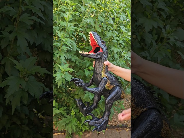 Vídeo relacionado con Mattel Jurassic World Super Colosal Indoraptor Dinosaurio gigante de juguete, +4 años (HKY14)