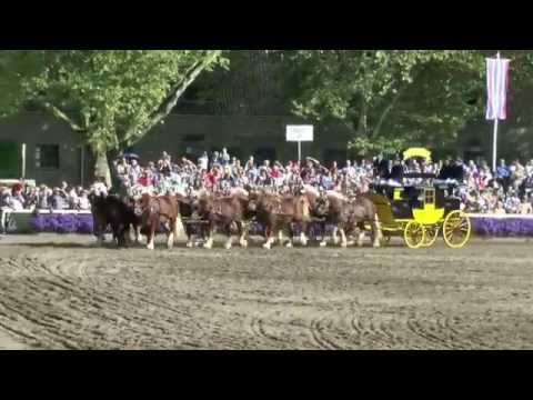 HENGSTPARADE WARENDORF 2014 - STALLION PARADE GERMANY 2014