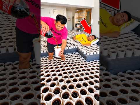PRANK EKMAL GUNA CAWAN