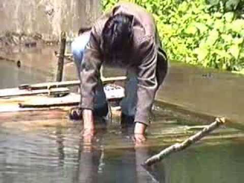 Romania picnic in forest with friends