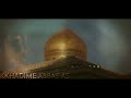 5TH MUHARRAM WHATSAPP STATUS AE AUN O MUHAMMAD MIR HASAN MIR SPECIAL THANKS ALIWALEY 313