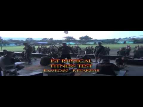 AVP CSC CL 337 & 339 - 13