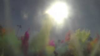 Color Throw | Color Run Post Race