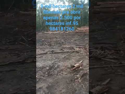 .Logística 110 km de rorainopolis.360 km da capital Boa vista RR.Mais informações 95 984181260