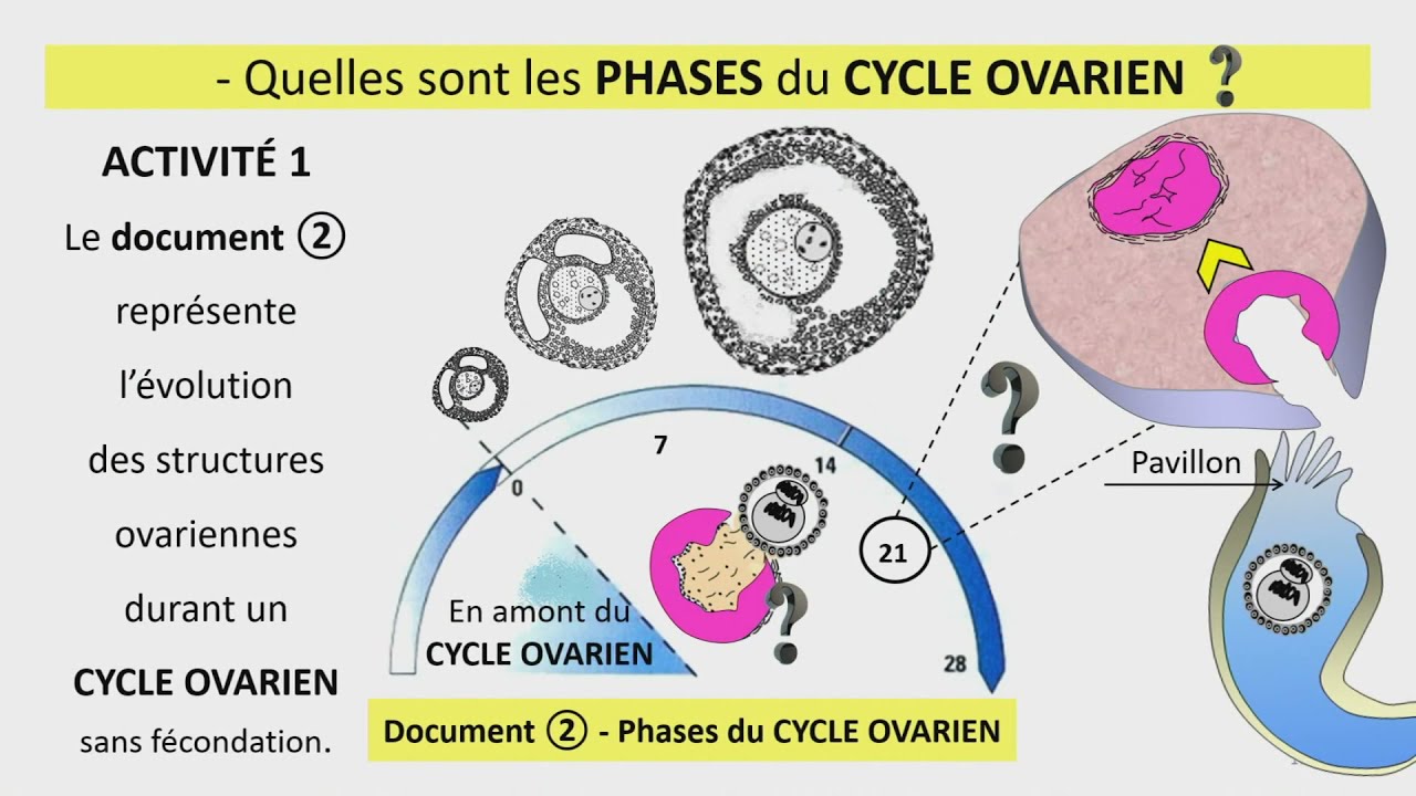Reproduction humaine et santé الوطنية التربوية - جميع الشعب - علوم الحياة والارض