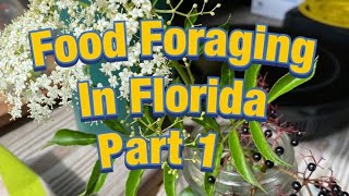 Food Foraging at Fort Dade Battlefield Part 1