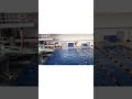 Max Roth 3 meter diving