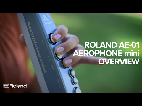 Roland AE-01 Aerophone Mini Easy-to-Learn Battery-Powered Wireless Digital Wind Instrument (Blue)