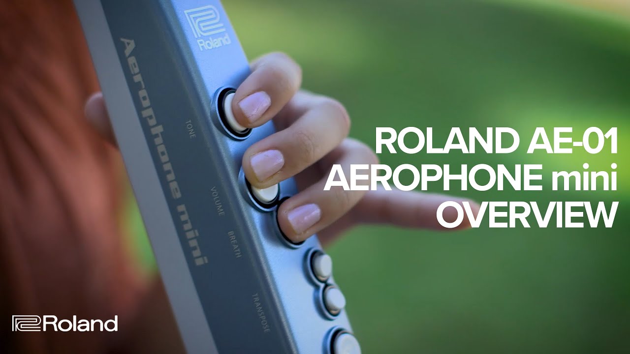 Roland Digitales Blasinstrument Aerophone mini AE-01