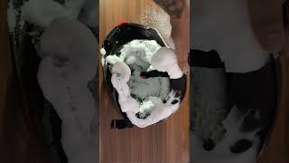 Vista Helmet Kleen | Helmet cleaner. #helmet #vista #bike #bikelife