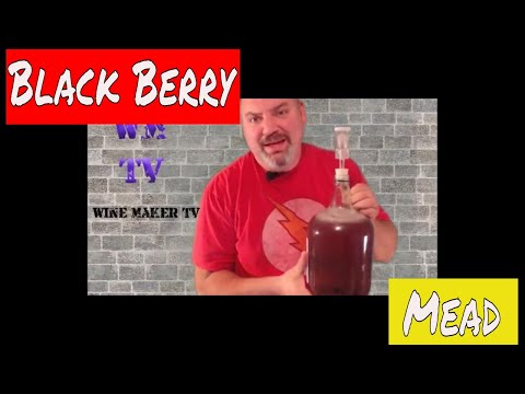 How to Make a Black Berry Mead | How to Black Berry Melomel