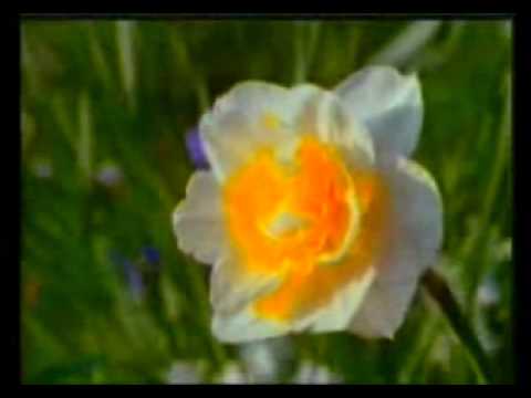 Mrekullia e Allahut - Ndertimi i Universit Nuk Ka Ndodhur Rastesisht