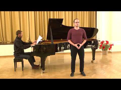 Musica Goricensis: Fink - bariton