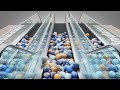 Marble Run Animation: 10,000 planets on escalator screening V03