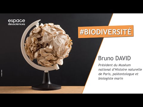 , title : '🌍 [Bruno David] Biodiversité : quelle importance !'