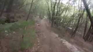Passo Rocchetta: Downhill to Palaer Forest Road (a vid by supertrailhunter).