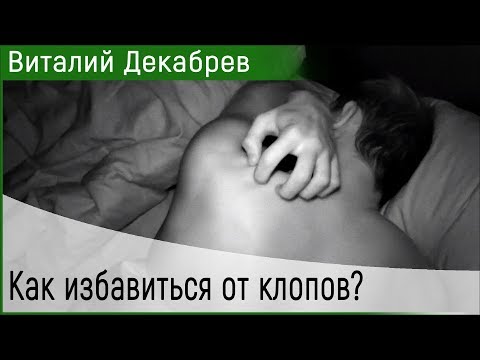 Как избавиться от клопов?