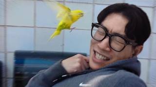 유튜브 썸네일