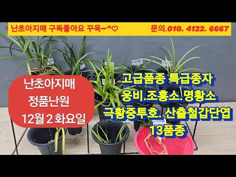 유튜브 썸네일