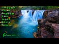 Kudagu Malai Katil Oru Pattu Kekutha En Painkili Song L Animation Video L Lyrics L Tamil