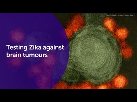 Testing Zika Virus against Brain Tumours | Cancer Research UK