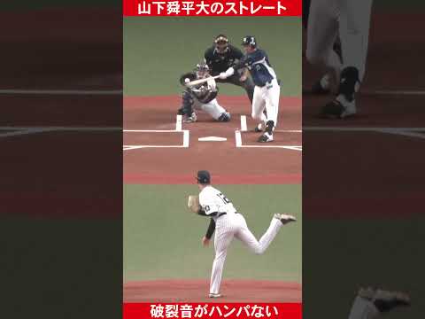 オリックスベイサ - 定義
