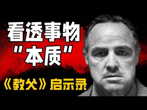 塔岛哥哥