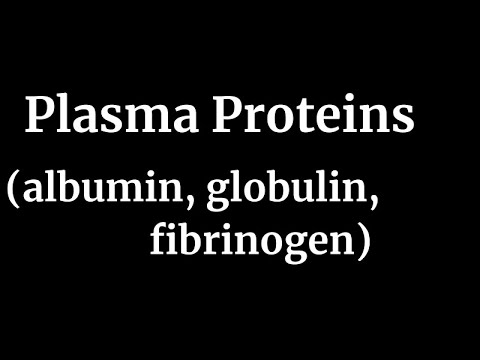 Plasma Proteins (albumin, globulin, fibrinogen) - YouTube