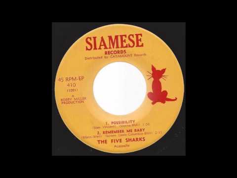 The Five Sharks - Possibility - '66 Acappella Doo-Wop on Siamese Records