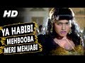 Ya Habibi Mehbooba Meri Mehjabi Kavita Krishnamurthy Sonu Nigam Cheetah 1994 HD Songs Mithun