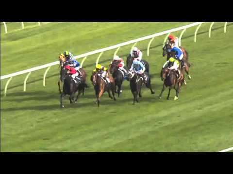 Randwick Race 5 April 16th 2016 - CHAMPAGNE STAKES