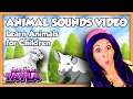 Animal Sounds Video Learn Animals For Children On Tea Time With Tayla