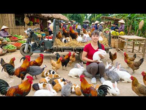 Buying Lots of Rabbits and Chickens | Loaded on a Truck to Sell at a Countryside Market
