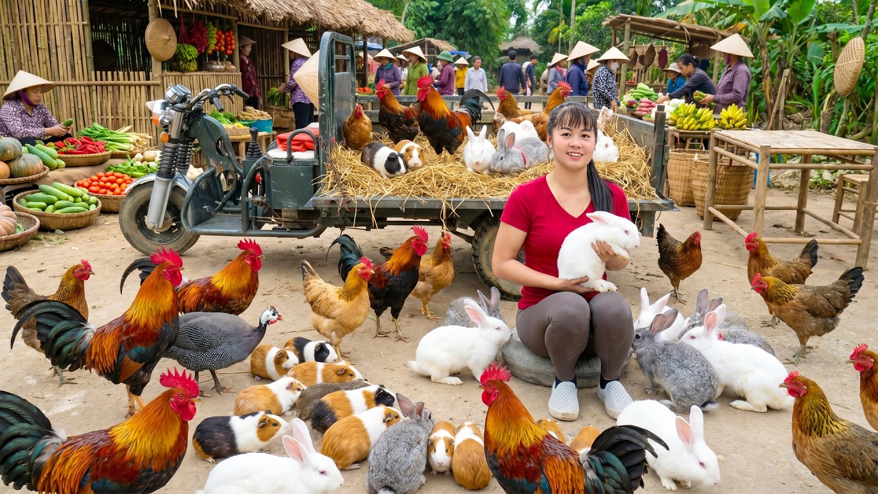 Buying Lots of Rabbits and Chickens | Loaded on a Truck to Sell at a Countryside Market