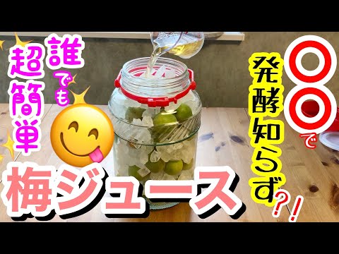 オニオンジュースを作る:咳止めシロップを自分で作る方法です 植物