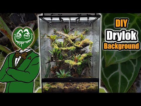 Jungle Vivarium Build | DIY Drylok Background