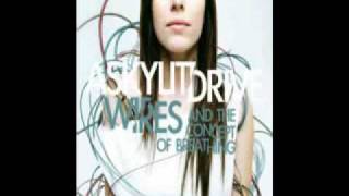 a skylit drive- knights of the round